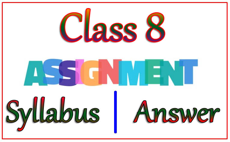 Class 8 Assignment